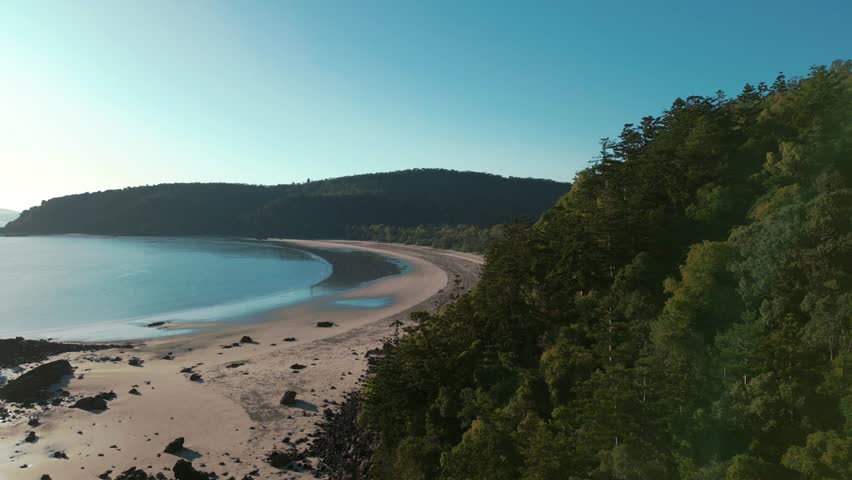 Cape Hillsborough National Park Beach Australia. Tropical seaside bay, clear water, sand, rocks and jungle palm tree forest. Scenic, cinematic, idyllic nature documentary in 4K UHD. Aerial drone view.