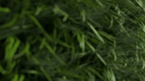 Empty stadium 3d render, vertical low angle video with green grass foreground - Powered by Shutterstock - Get 15% off with code: PIKWIZARD15