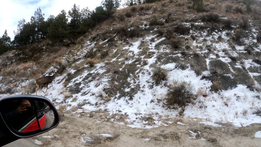 Teddy Roosevelt National Park on a winter day.