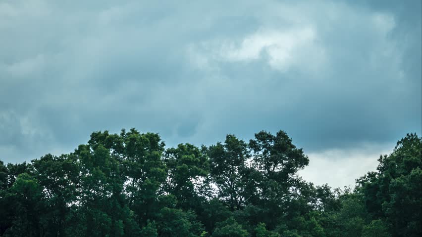 Timelapse of Stormy Clouds over Trees on a Windy Day
