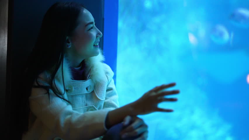 Young Asian woman looking shoal of fish in large glass tank during travel Aquarium in Japan. Attractive girl enjoy and fun learning and looking sea life at oceanarium on holiday vacation. | Shutterstock HD Video #1098839149