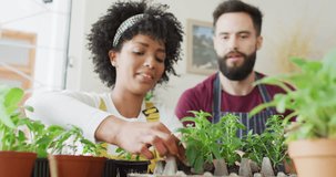 Video of happy diverse couple having fun potting seedlings in egg carton at home, with copy space. Happiness, inclusivity, free time, ecology, togetherness and domestic life.