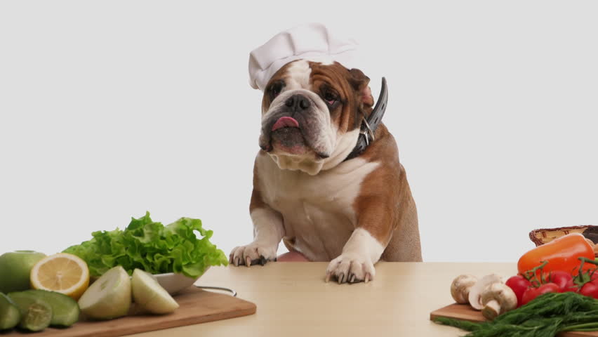 English Bulldog as a chef at the table. The English Bulldog cooks healthy food and eats only fresh vegetables. The dog monitors its health. A dog in a chef's hat is cooking dinner. Royalty-Free Stock Footage #1098843391