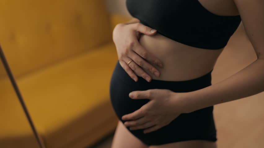 Concept of motherhood and family. Pretty asian pregnant woman wearing underwear looking at mirror. Young mother expecting a baby enjoying her pregnancy at home. | Shutterstock HD Video #1098843437
