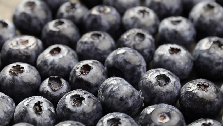 Ripe blueberries fruits, blueberry fruits in low light, closeup of blueberry fruit, bilberry fruits Royalty-Free Stock Footage #1098843473