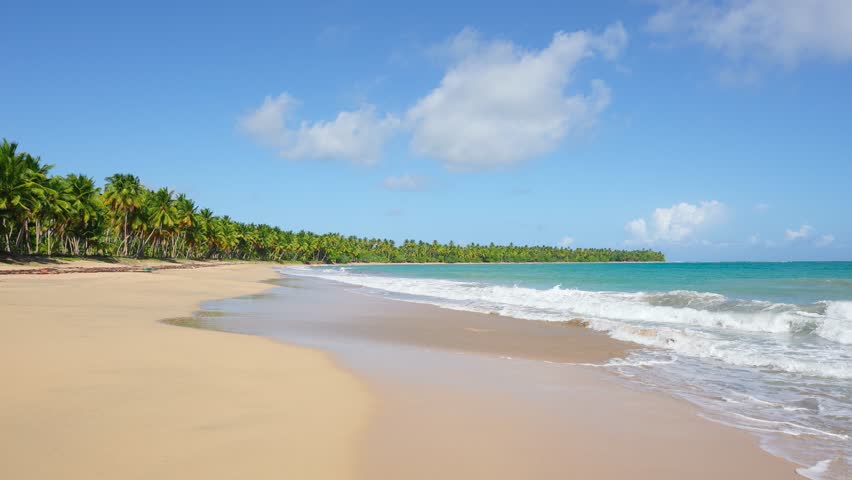 Paradise tropical beach in the Bahamas with bright palm trees and whimsical sea waves. Turquoise sea water with ocean waves on yellow sand. Summer vacation background concept.