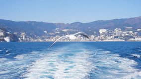 Video of Atami scenery seen from the ferry to Hatsushima and seagulls flying over Sagami Bay , slow motion video