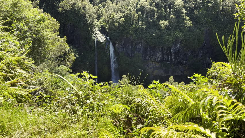 Dawson Falls In Egmont National Park At The North Island of New Zealand, Taranaki Region. Static Shot