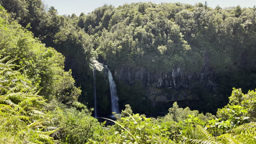 Dawson Waterfalls With Dense Vegetation At Egmont National Park In Taranaki Region, New Zealand. Static Shot