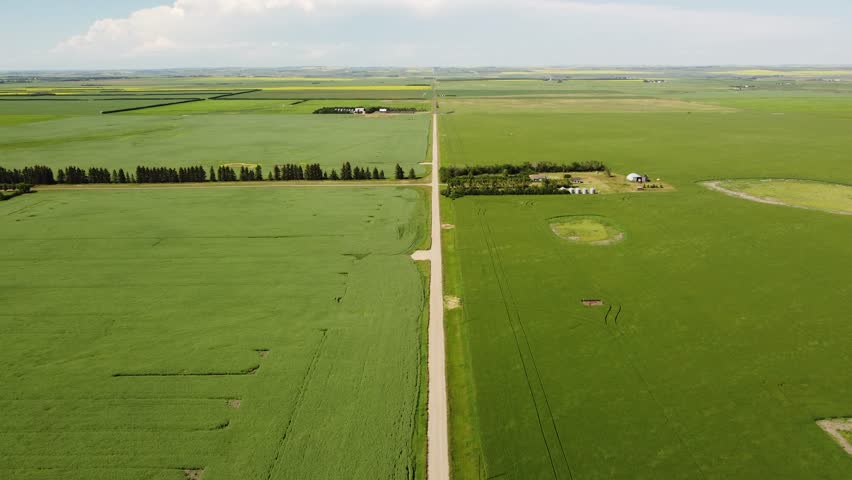 High aerial country road with farm fields growing on a prairie landscape in Rocky View County Alberta Canada