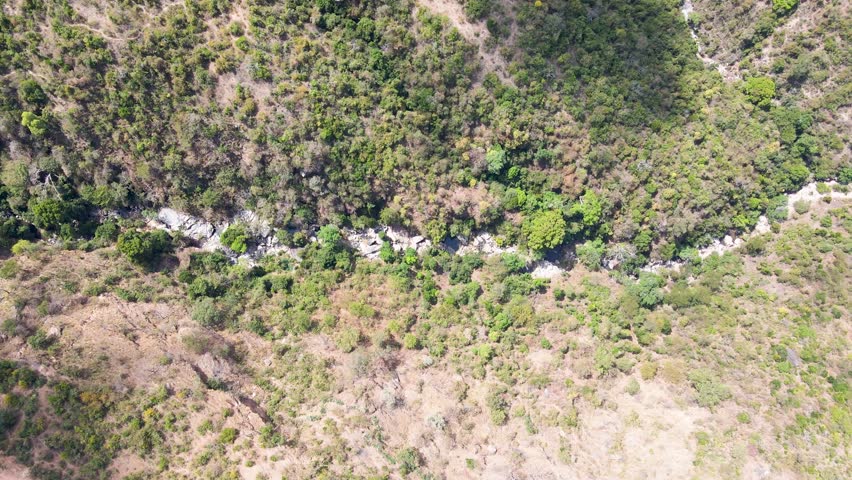 Farm farmland agriculture landscape Rural Rustic village of north Kenya-Green forest aerial view and environmental technology concept. Green tech. Ecology. Green transformation. GX. SDGs.