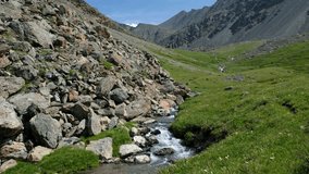 Video of Altai river Yarlyamry. The stream runs along moraine and alpine forb meadow. On background is North-Chuysky mountain range. Siberia, Russia.