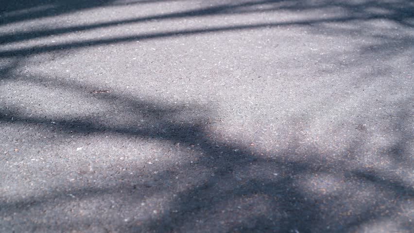 Shadow of the moving branches of plants, driven by a light breeze, is reflected on the gray asphalt. Sunlight seeps through the branches of trees falls on the asphalt. | Shutterstock HD Video #1098899565