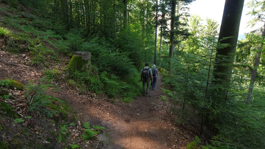 Ground walking path at forest on steep hill side, mature couple go away. Trekking and hiking area of Vosges mountains in Orschwiller and Kintzheim communes, north-eastern France.