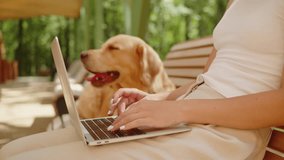 Woman working on laptop outdoor and petting labrador dog. Golden retriever lying on bench. Obedient puppy breathing with tongue out, waiting for his owner, relaxing in park.  - Powered by Shutterstock - Get 15% off with code: PIKWIZARD15