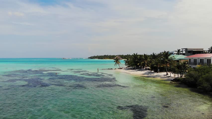 Coast of the Maldives. Palms, beach and ocean.