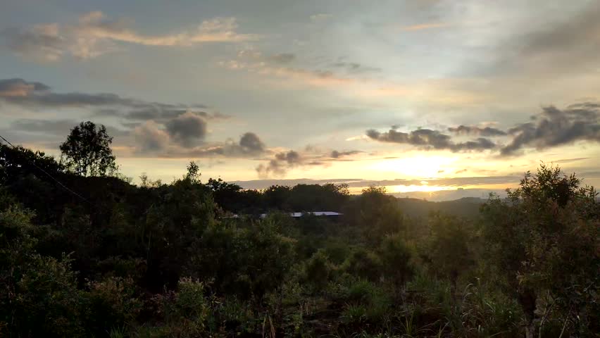 Beautiful cloudy sky sunset in the forest