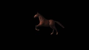 Farm Animal Horse Transparent Alpha Video 3D Animation
