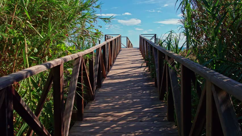 A wooden footbridge among high reeds on the coastal sand dunes. Climatic access to the beach.