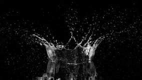 Super slow motion of splashing water crown shape on black background. Filmed on high speed cinema camera, 1000fps. - Powered by Shutterstock - Get 15% off with code: PIKWIZARD15