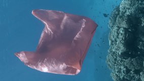 VERTICAL VIDEO, Close-up of red plastic shopping bag slowly swim with school of colorful tropical fish near coral reef in blue water. Plastic pollution of the ocean. Slow motion