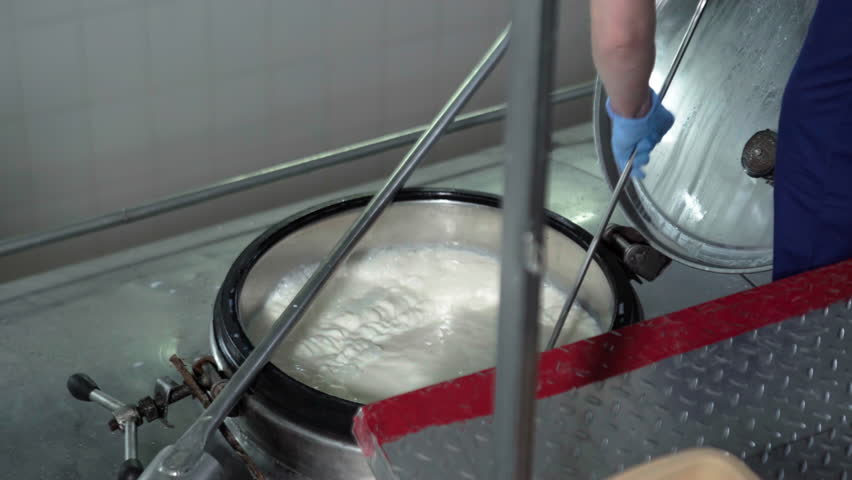 Milk In A Tank Is Stirred Up By The Worker. Processing And Pasteurization Process At Dairy Products Manufacturing Plant. Cheese And Yoghurt Making. Modern Equipment. Food Industry.Checking the quality Royalty-Free Stock Footage #1098943707