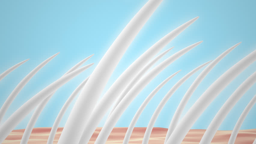 3D Animation Serum Repair Anti White Hair Shampoo Treatment . | Shutterstock HD Video #1098959449