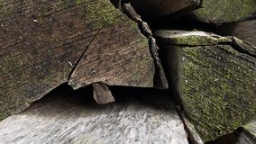 Stack of wet firewood chopping in moss close-up with smooth camera span. High quality 4k footage