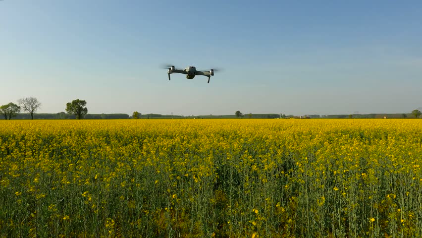 
Spring Landscape with Aerial Drone on a Field of Yellow Flowers - 5K | Shutterstock HD Video #1098973961