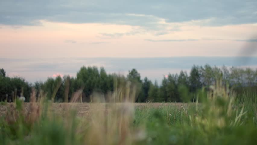 Woman runs in the field. Outdoor training. | Shutterstock HD Video #1098994717