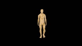 Low Poly Character Animation Transparent Alpha Video