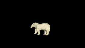 Low Poly 3D Bear Animation Transparent Alpha Video