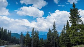 Forest with fir trees on the slope of one of the Rhodope Mountains under a daytime sky with clouds