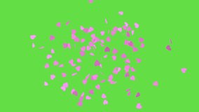 Explosion of pink hearts on green screen. Heart confetti. Festive effect for Valentine's Day. 3D animation - Powered by Shutterstock - Get 15% off with code: PIKWIZARD15
