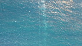 Superb aerial footage during the golden hour of a fishing boat going out to sea in the Atlantic Ocean.