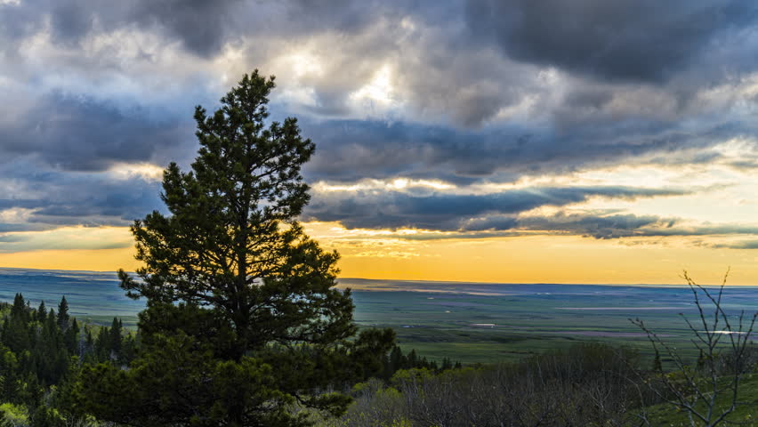 Golden on fire prairie sunset from Bald Butte in Cypress Hills Provincial Park
