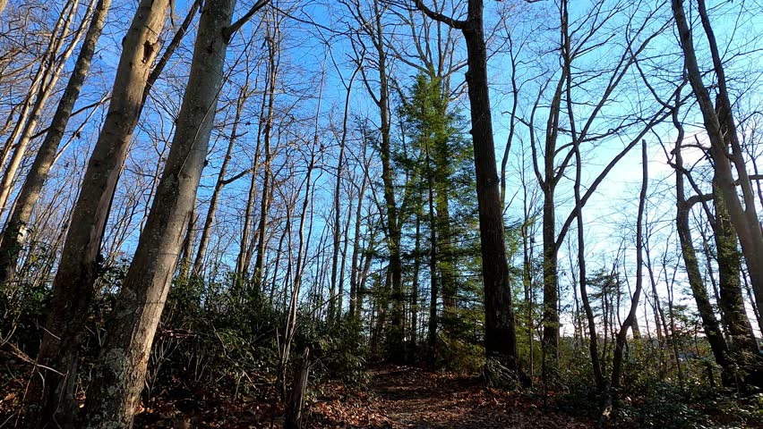 Hyperlapse of New River Gorge National Park and Preserve