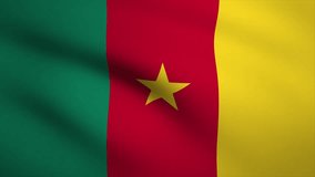 Cameroon Waving Flag Background Animation. Looping seamless 3D animation. Motion Graphic - Powered by Shutterstock - Get 15% off with code: PIKWIZARD15
