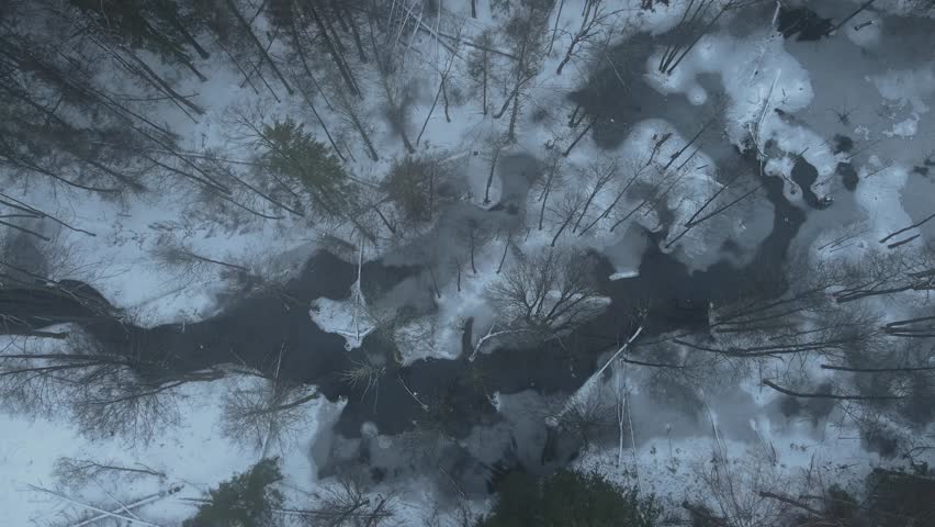 Winding River In Winter Forest