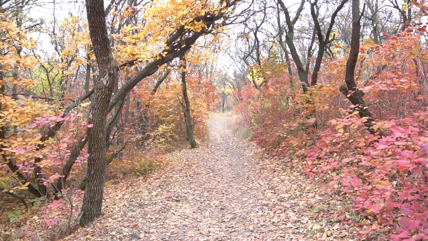 Back view of elegant young woman in casual coat in autumn.