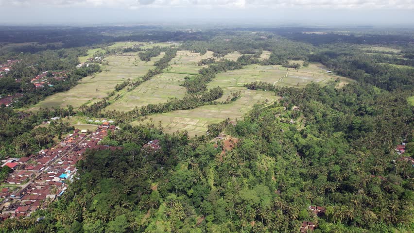 Panoramic aerial view of central Bali, harvested rice plantations and villages, forested canyons divide landscape on parts. Typical countryside at north of Ubud. All suitable land cultivated for rice