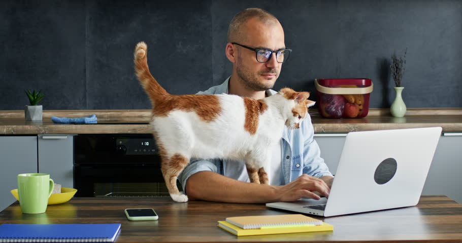 Cat wants to play with owner freelancer and tries to do damage walking on table. Domestic animal wants to interfere man from working on laptop Royalty-Free Stock Footage #1099034891