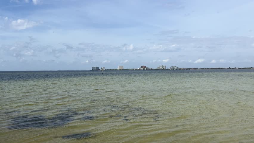 Two color of water body in Tampa Bay beach