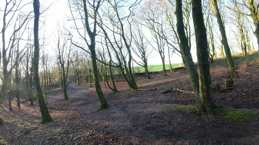 FPV drone flying through glowing autumn woodland foliage at sunrise in nature park