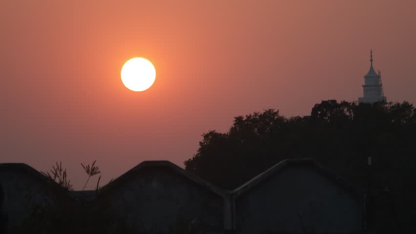 Sunset behind the wood trees. The orange sky on horizon.