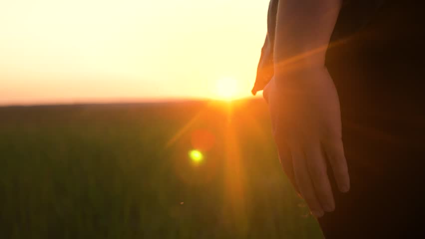 happy family mom and son hold hands teamwork. mother and boy kid together hands at sunset. parent girl and lifestyle child happy childhood Royalty-Free Stock Footage #1099047265