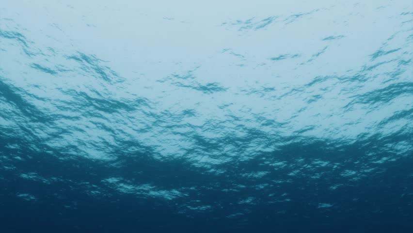 4K Ocean Surface From Below Loopable Clean illustration art | Shutterstock HD Video #1099053251