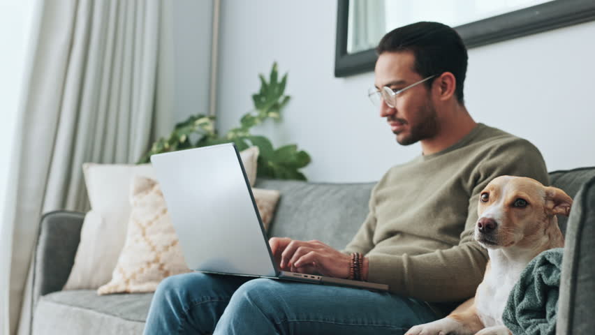 Laptop working, dog couch and man typing an email on the internet, doing research for small business and search for information on the web in home. Pet animal with remote worker on technology on sofa