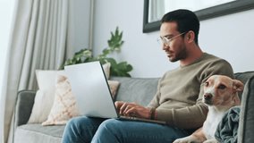 Laptop working, dog couch and man typing an email on the internet, doing research for small business and search for information on the web in home. Pet animal with remote worker on technology on sofa - Powered by Shutterstock - Get 15% off with code: PIKWIZARD15