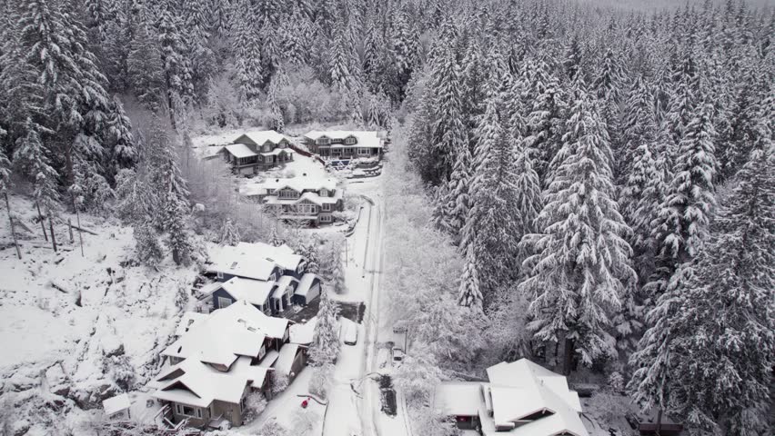 Snow covered homes and trees in quiet suburban neighborhood, winter wonderland, snowy road. 4K 24FPS